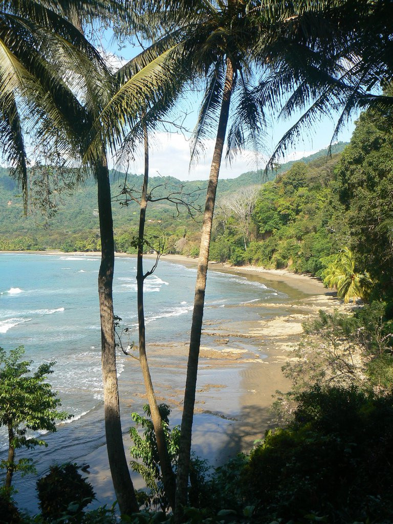 Доминикаль, Пунтаренас провинция, Коста-Рика, фото № 40425 – фотографии Коста-Рики