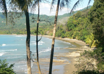 Доминикаль, Пунтаренас провинция, Коста-Рика, фото № 40425 – фотографии Коста-Рики