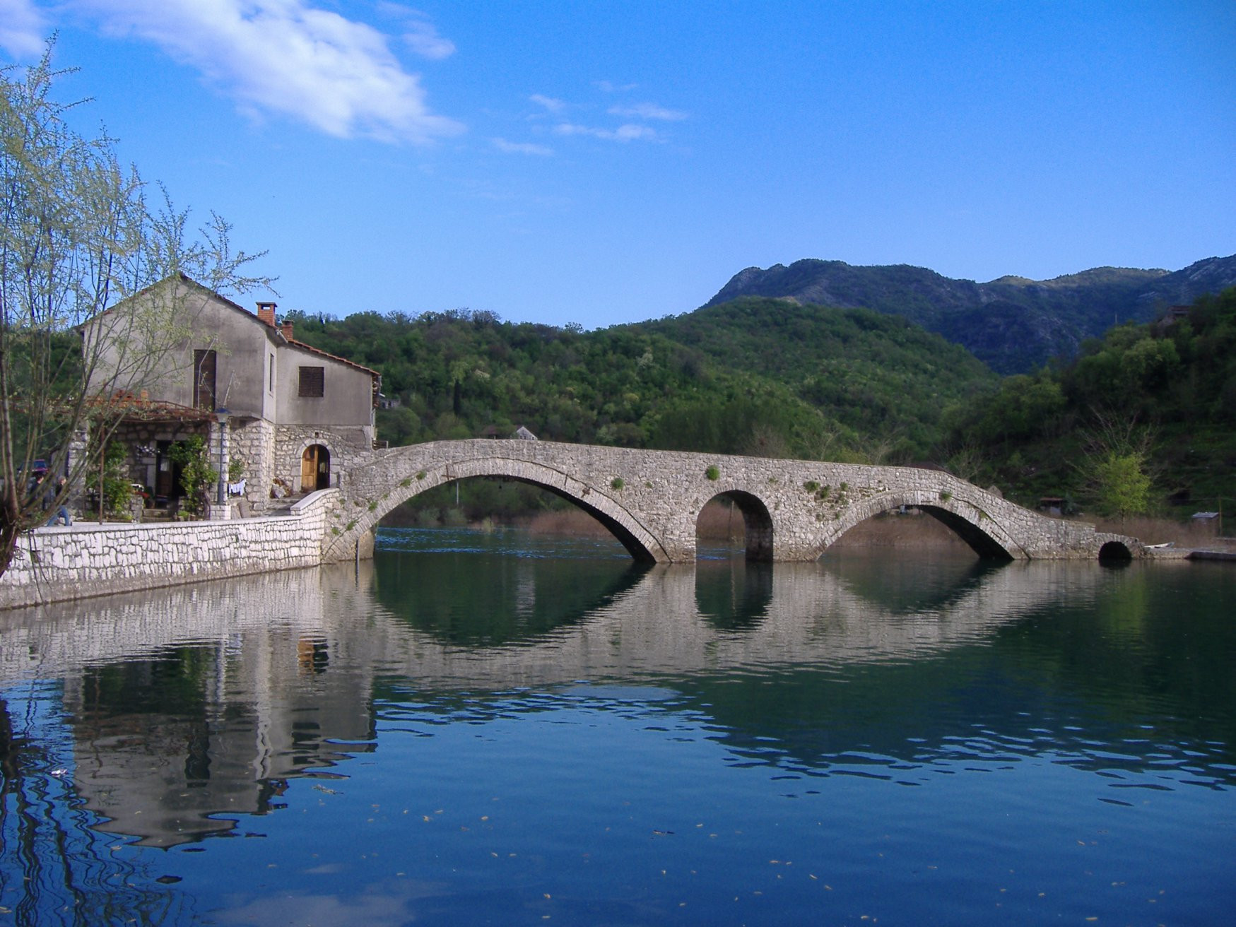 Рижека Крножевица – фотографии Черногории