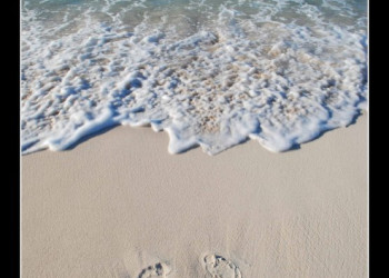 Александрия, Египет, фото № 34837 – фотографии Египта