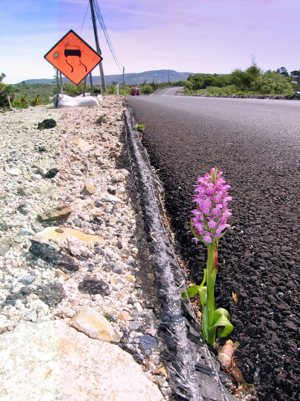 Ирландия, фото № 2541 – фотографии Ирландии