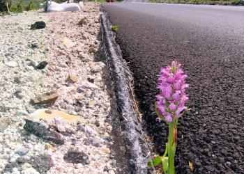 Ирландия, фото № 2541 – фотографии Ирландии