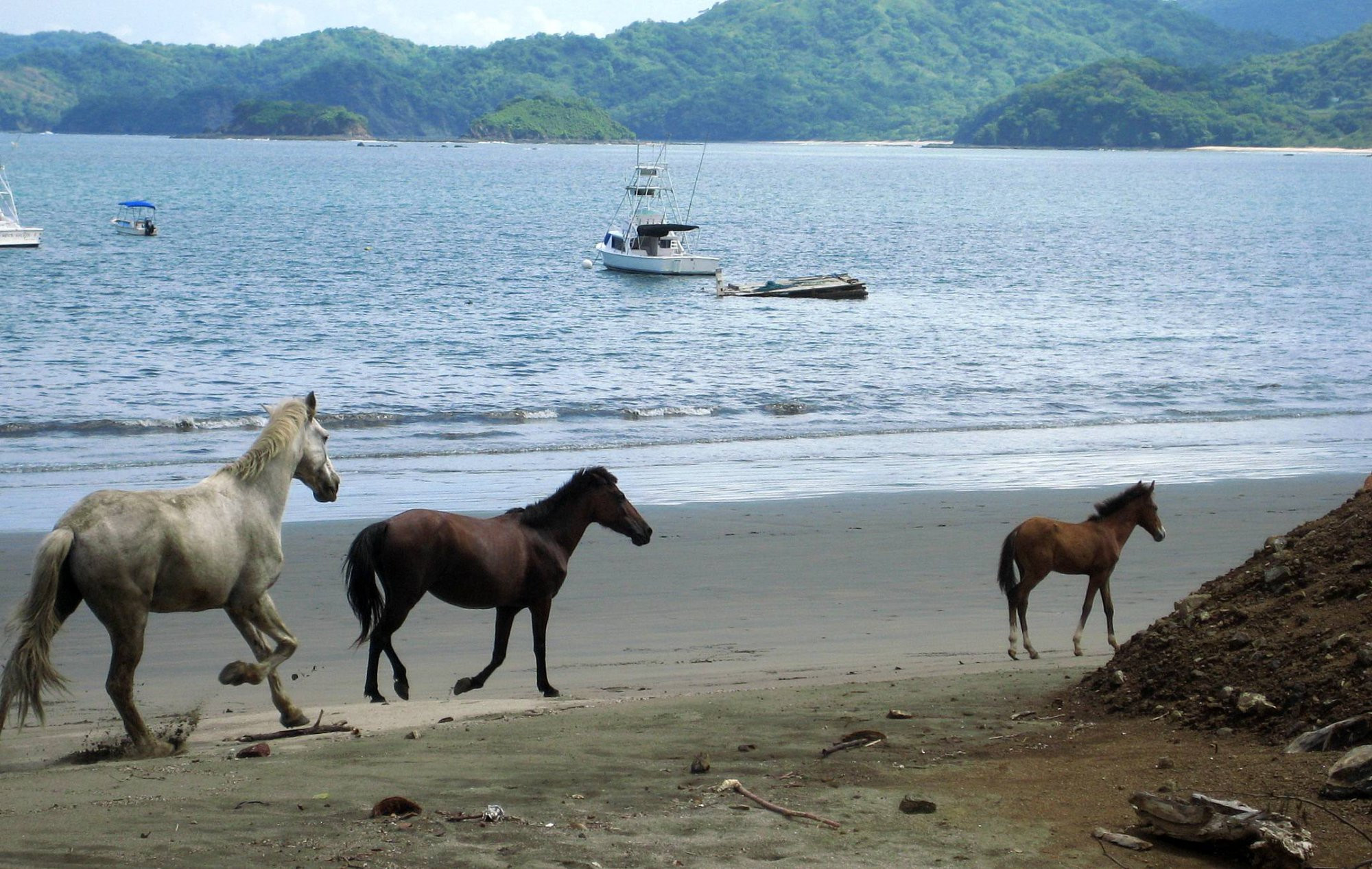 Коста-Рика, фото № 779 – фотографии Коста-Рики