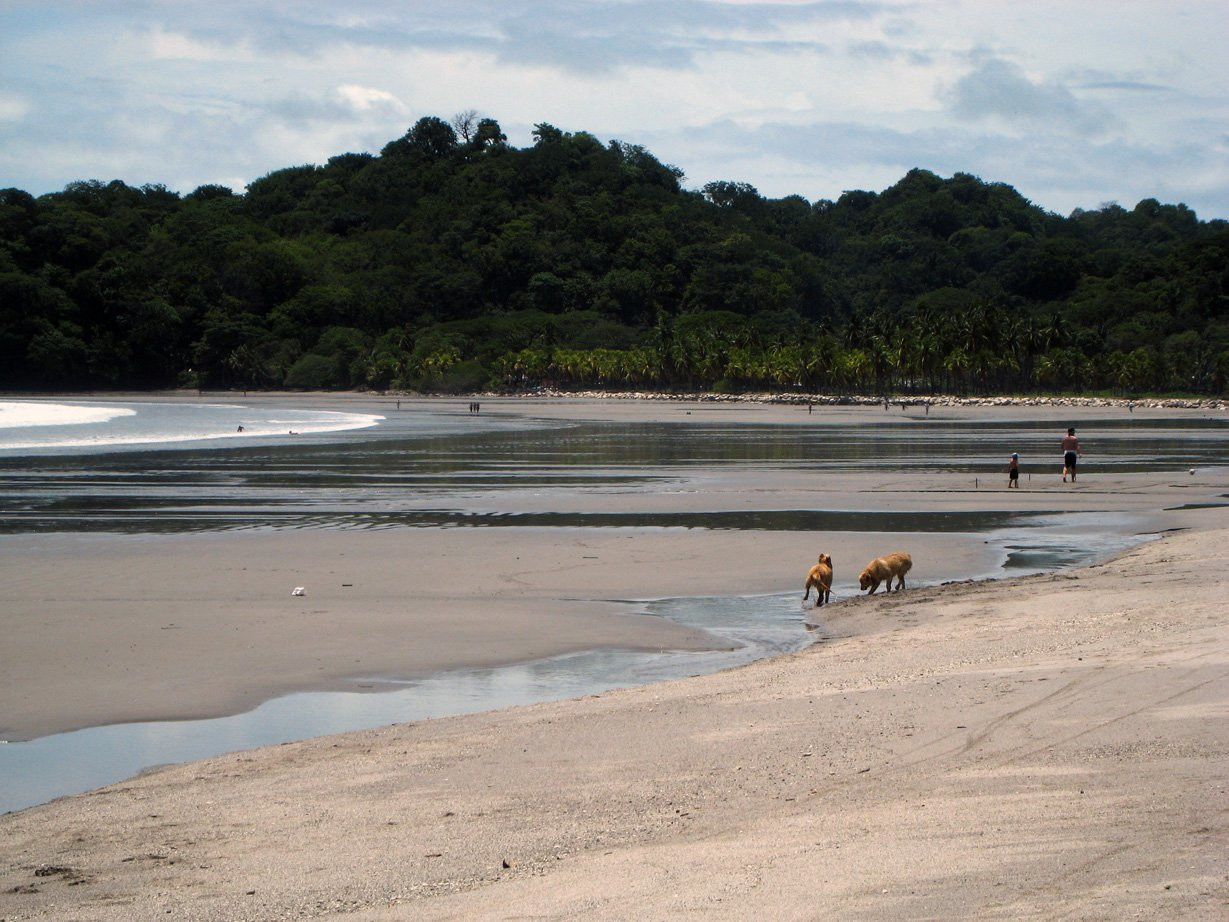 Самара, Гуанакасте провинция, Коста-Рика, фото № 39907 – фотографии Коста-Рики