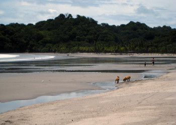 Самара, Гуанакасте провинция, Коста-Рика, фото № 39907 – фотографии Коста-Рики