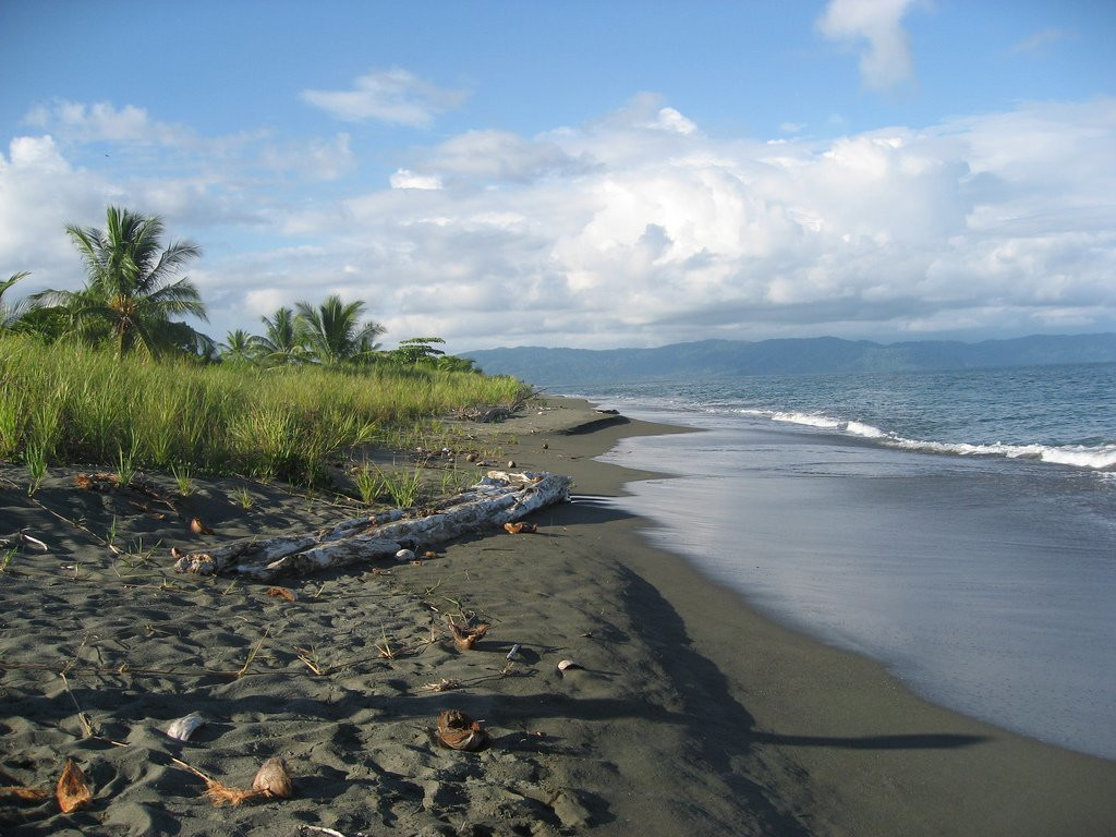 Пуэрто Хименез, Пунтаренас провинция, Коста-Рика, фото № 41096 – фотографии Коста-Рики