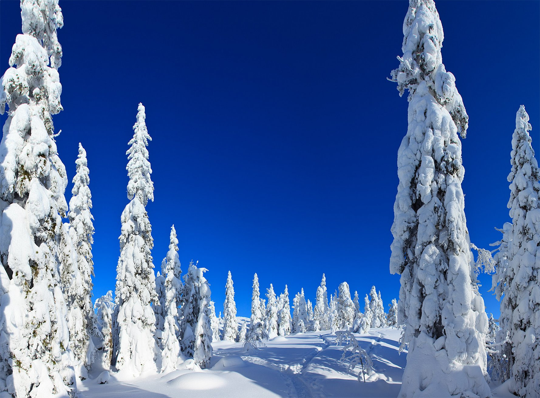 Коли, Финляндия, фото № 74552 – фотографии Финляндии