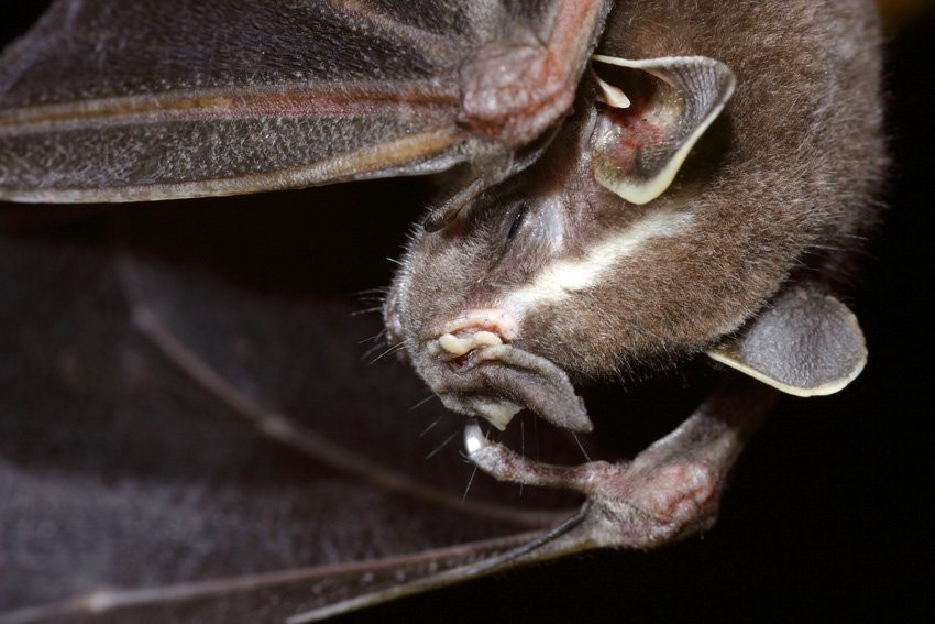 Французская Гвиана, фото № 2115 – фотографии Французской Гвианы