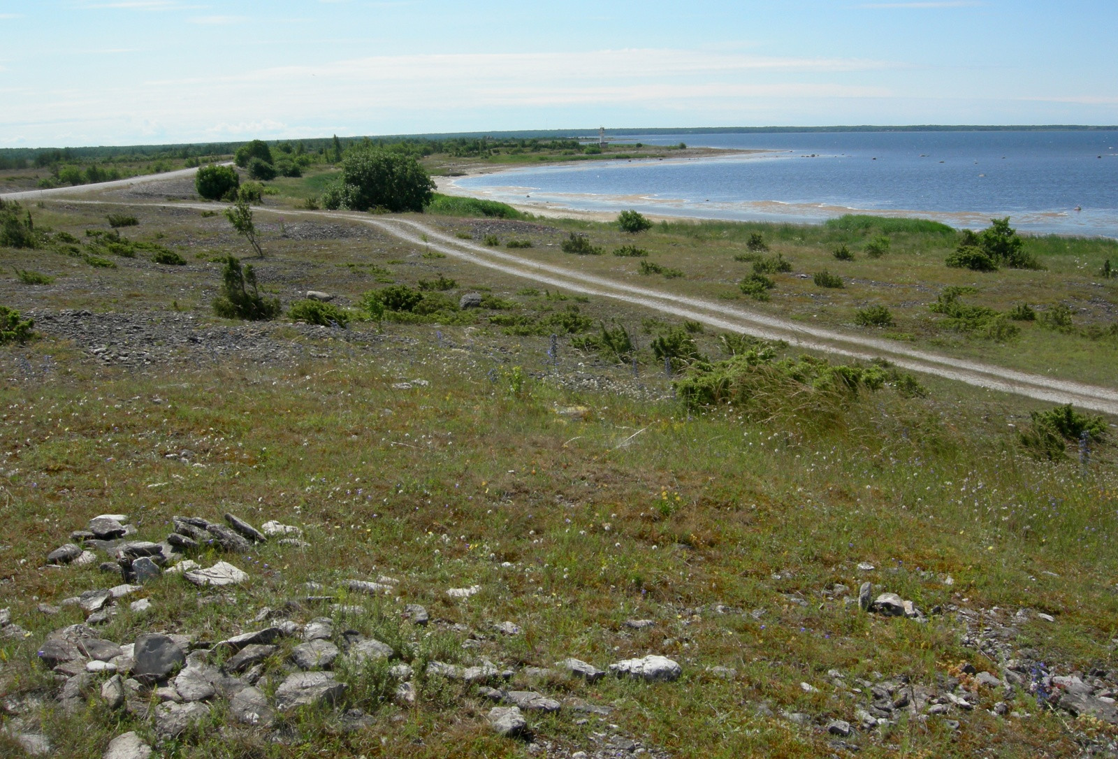 Сааремаа (Saaremaa) – фотографии Эстонии