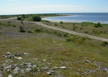 Сааремаа (Saaremaa) – фотографии Эстонии