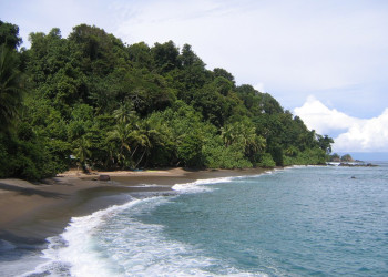 о.Каньо, Пунтаренас провинция, Коста-Рика, фото № 40824 – фотографии Коста-Рики