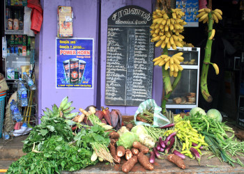 Уличный овощной развал в Джафне – фотографии Шри-Ланки