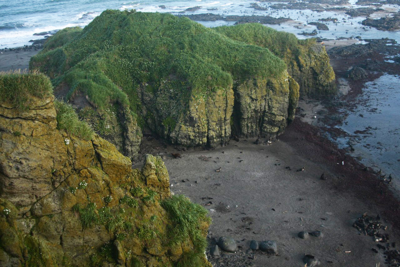 Лежбище Северо-Западное Остров Беринга – фотографии России