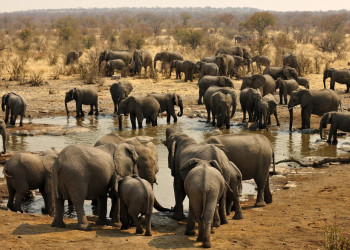 Namibia – фотографии Намибии