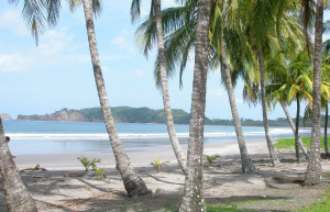 Плайя Карильо, Гуанакасте провинция, Коста-Рика, фото № 39536 – фотографии Коста-Рики