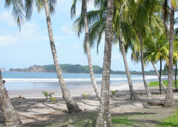 Плайя Карильо, Гуанакасте провинция, Коста-Рика, фото № 39536 – фотографии Коста-Рики