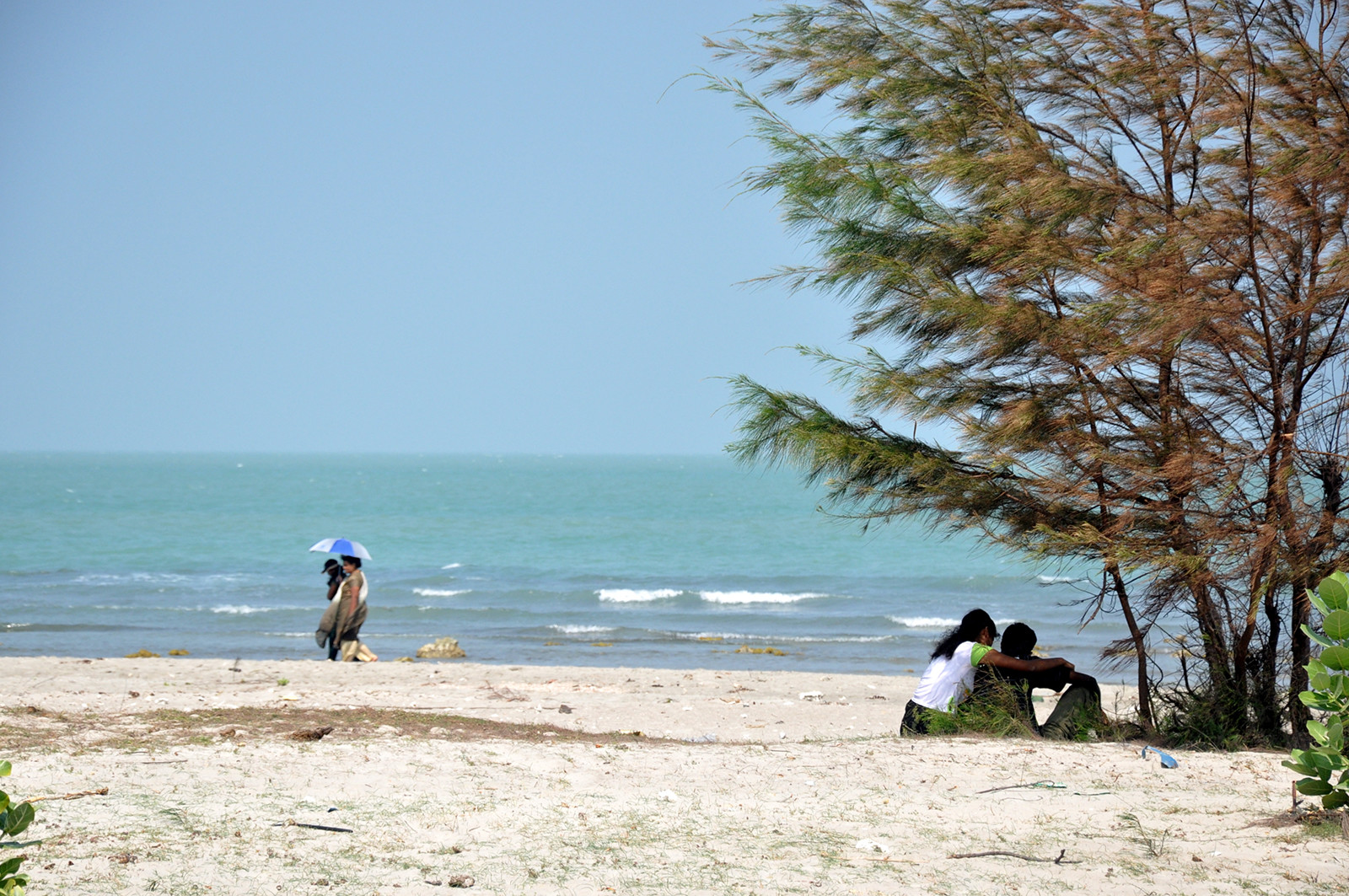 Пляж в окрестностях Джафны – фотографии Шри-Ланки