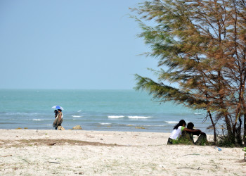Пляж в окрестностях Джафны – фотографии Шри-Ланки