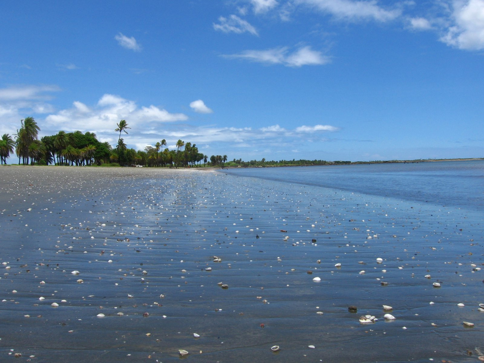 Нади, Вити Леву остров, Вити Леву группа островов, Фиджи, фото № 49521 – фотографии Фиджи