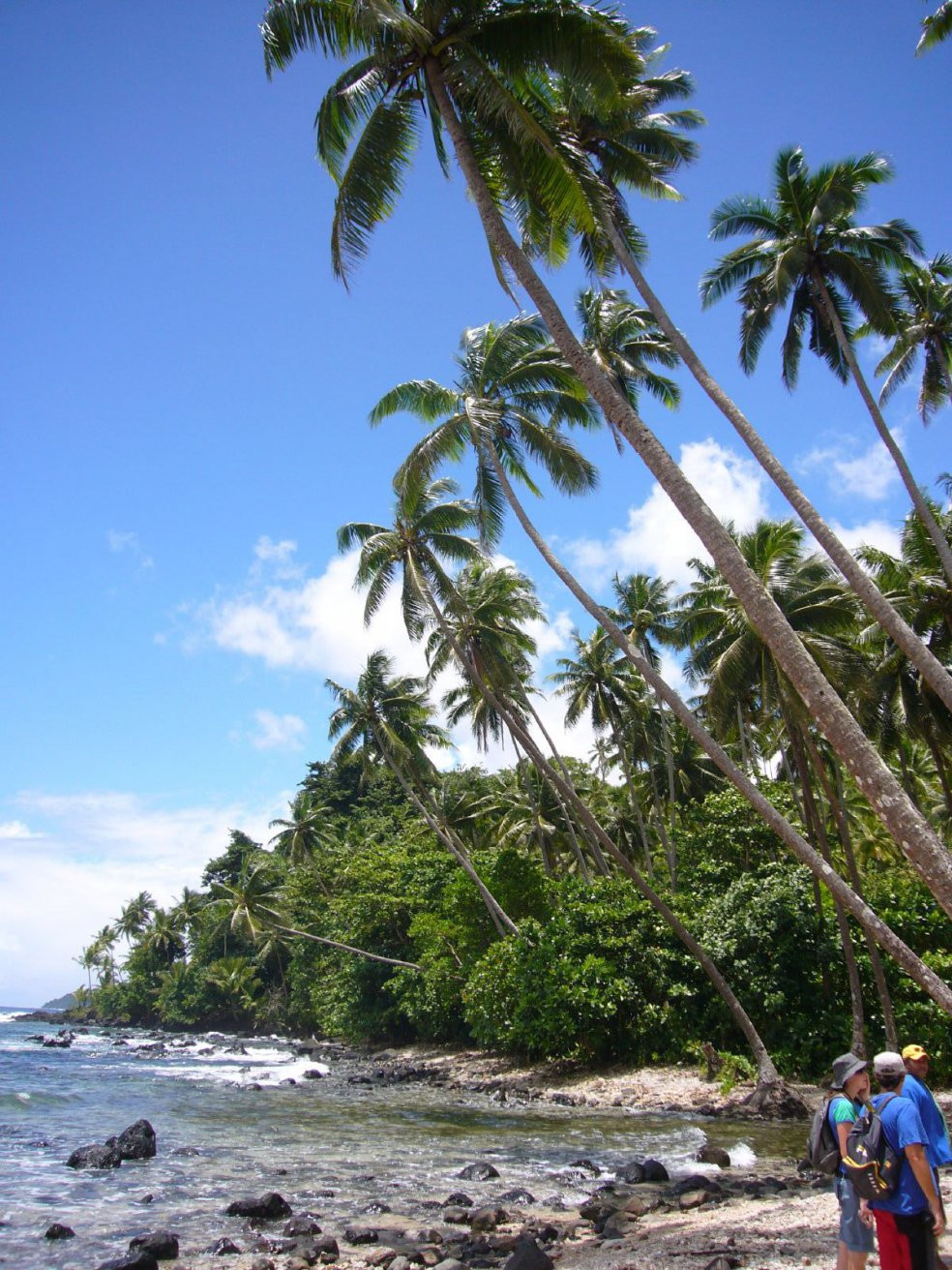 Вануа Леву группа островов, Фиджи, фото № 49377 – фотографии Фиджи