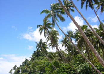 Вануа Леву группа островов, Фиджи, фото № 49377 – фотографии Фиджи