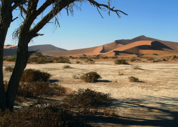 Намибия, фото № 5716 – фотографии Намибии