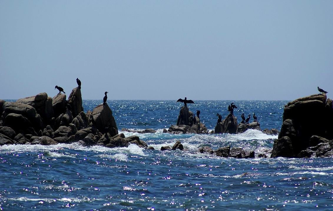 Скалы в Лазовском заповеднике, Россия. Фото 3 – фотографии России