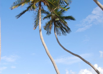 Пляж на Южном побережье, Барбадос. Фото 6 – фотографии Барбадоса