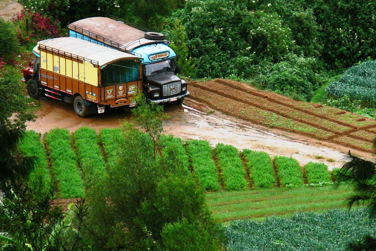 Нувара Элия, Шри-Ланка, фото № 52064 – фотографии Шри-Ланки