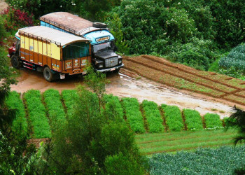 Нувара Элия, Шри-Ланка, фото № 52064 – фотографии Шри-Ланки