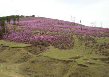 Природа в Дарасун, Россия. Фото 1 – фотографии России