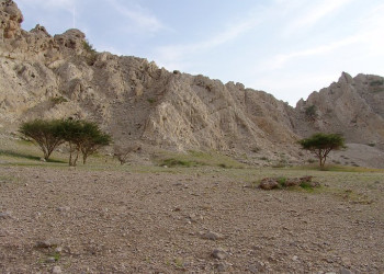 Рас-аль-Хайма, ОАЭ, фото № 61046 – фотографии ОАЭ