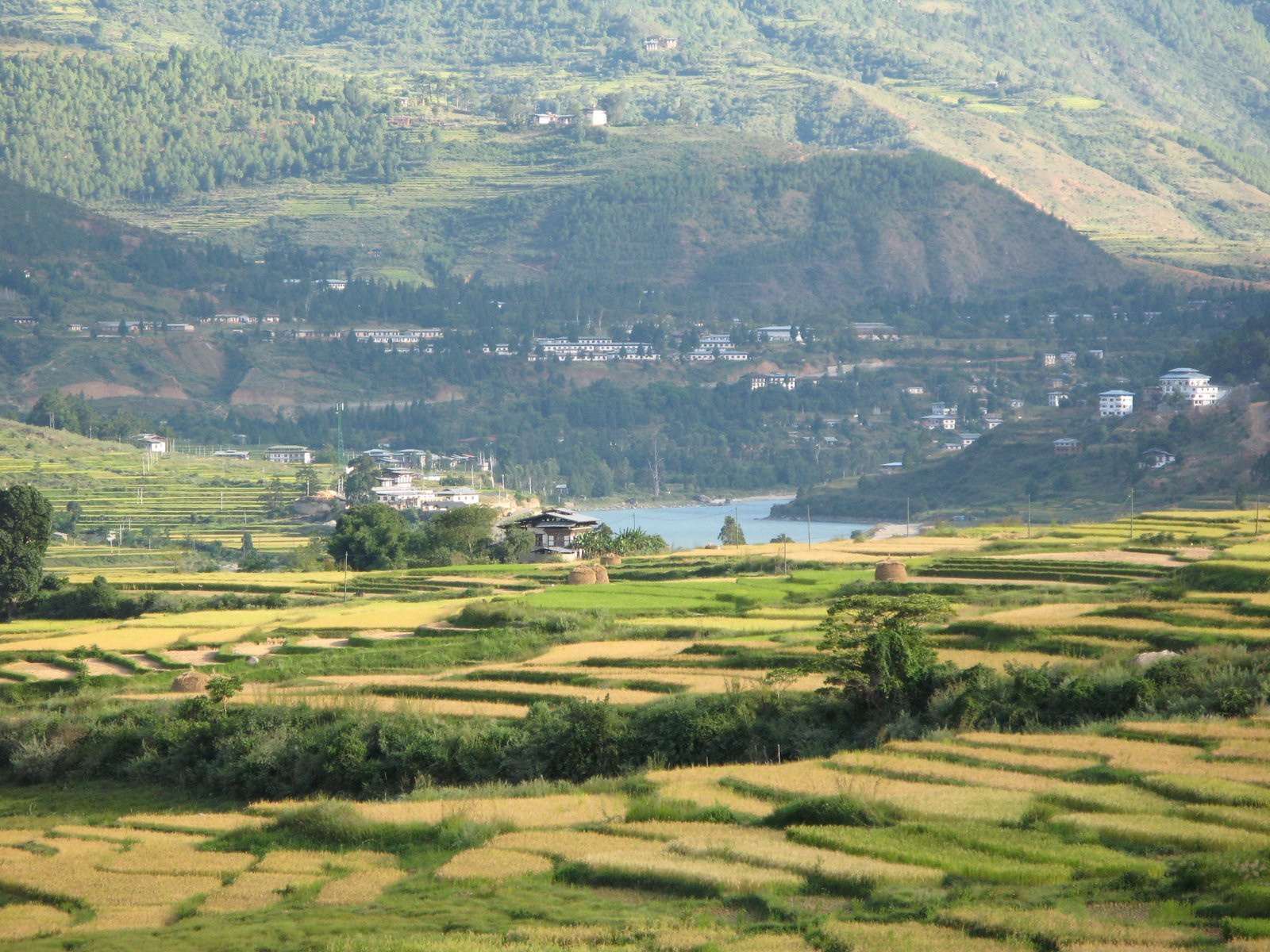 Бутан, фото № 4721 – фотографии Бутана