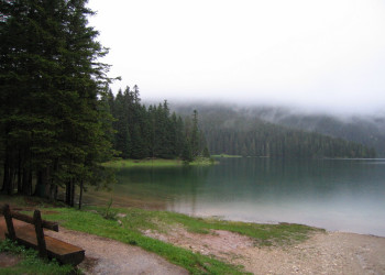 Природа в Дурмитор, Черногория. Фото 31 – фотографии Черногории