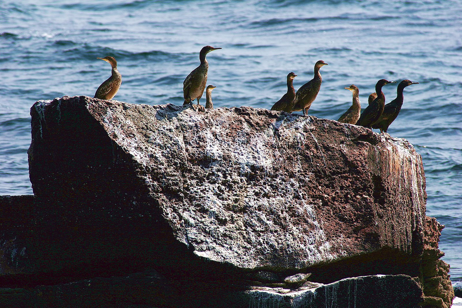 Ирландия, фото № 2532 – фотографии Ирландии