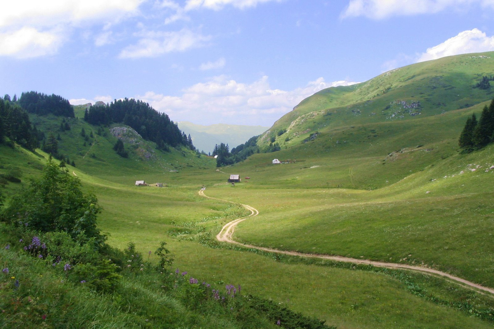 Национальный парк, Черногория. Фото 3 – фотографии Черногории