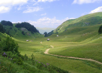 Национальный парк, Черногория. Фото 3 – фотографии Черногории