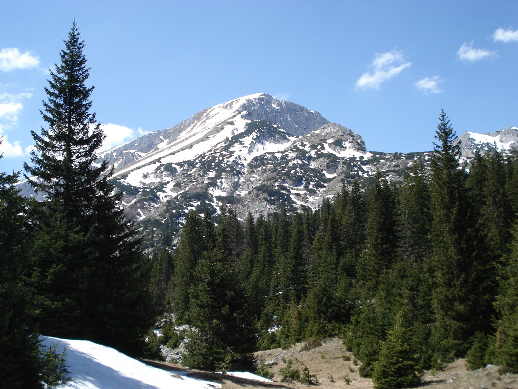 Природа в Дурмитор, Черногория. Фото 40 – фотографии Черногории