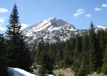 Природа в Дурмитор, Черногория. Фото 40 – фотографии Черногории