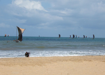 Шри-Ланка, фото № 1160 – фотографии Шри-Ланки