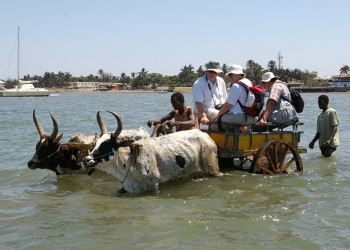 Мадагаскар, фото № 2217 – фотографии Мадагаскара