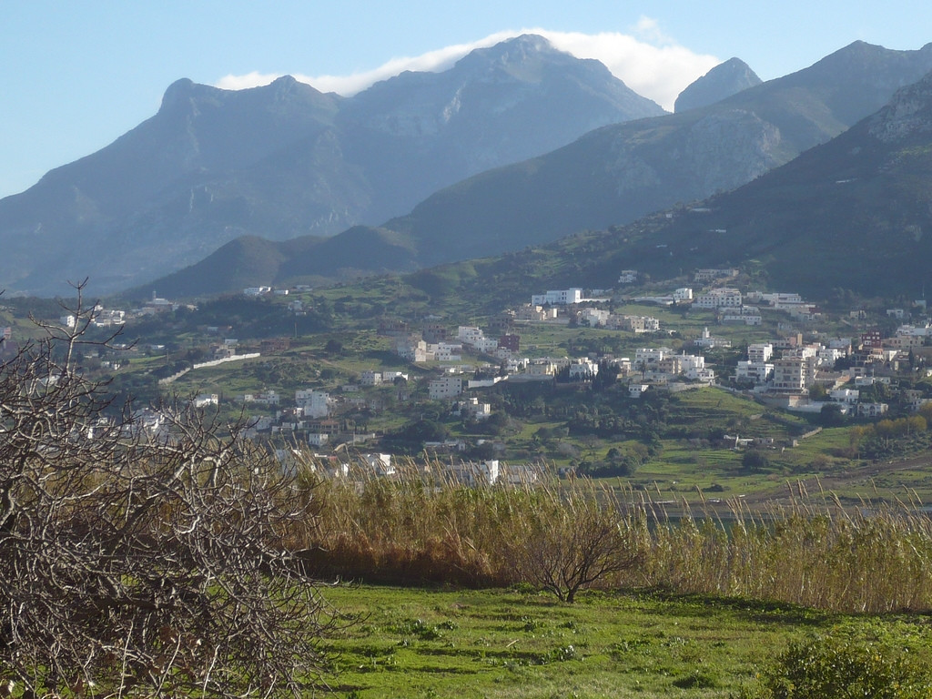 Тетуан, Марокко, фото № 8204 – фотографии Марокко