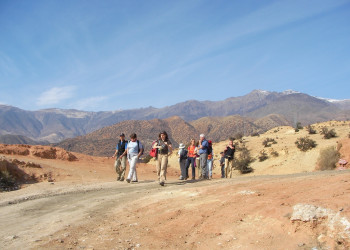 Тарудант, Марокко, фото № 8099 – фотографии Марокко