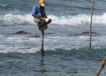 Галле, Шри-Ланка, фото № 50964 – фотографии Шри-Ланки
