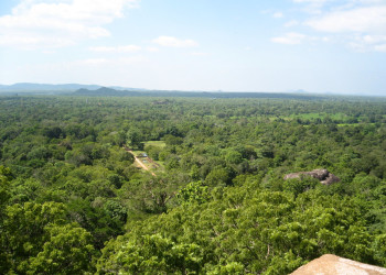 Сигирия, Шри-Ланка, фото № 52223 – фотографии Шри-Ланки