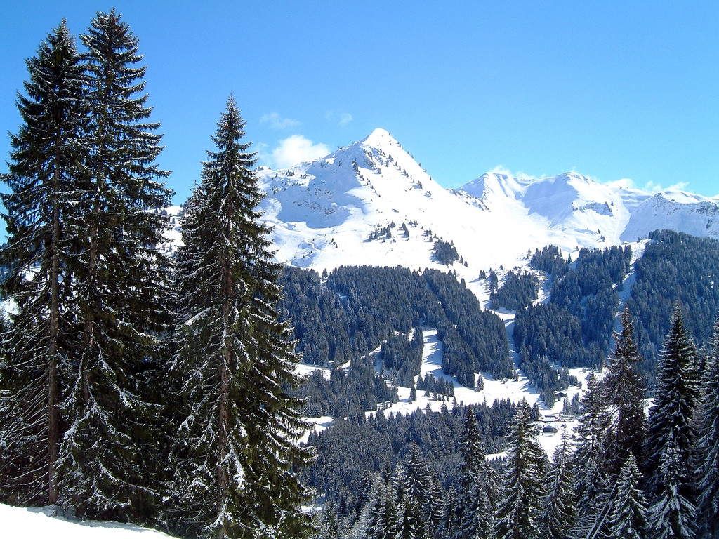 Природа в Морзине, Франция – фотографии Франции