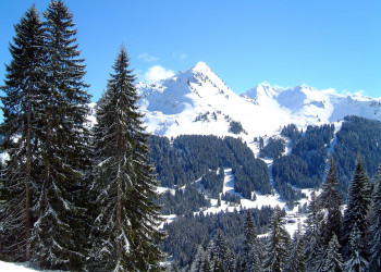 Природа в Морзине, Франция – фотографии Франции