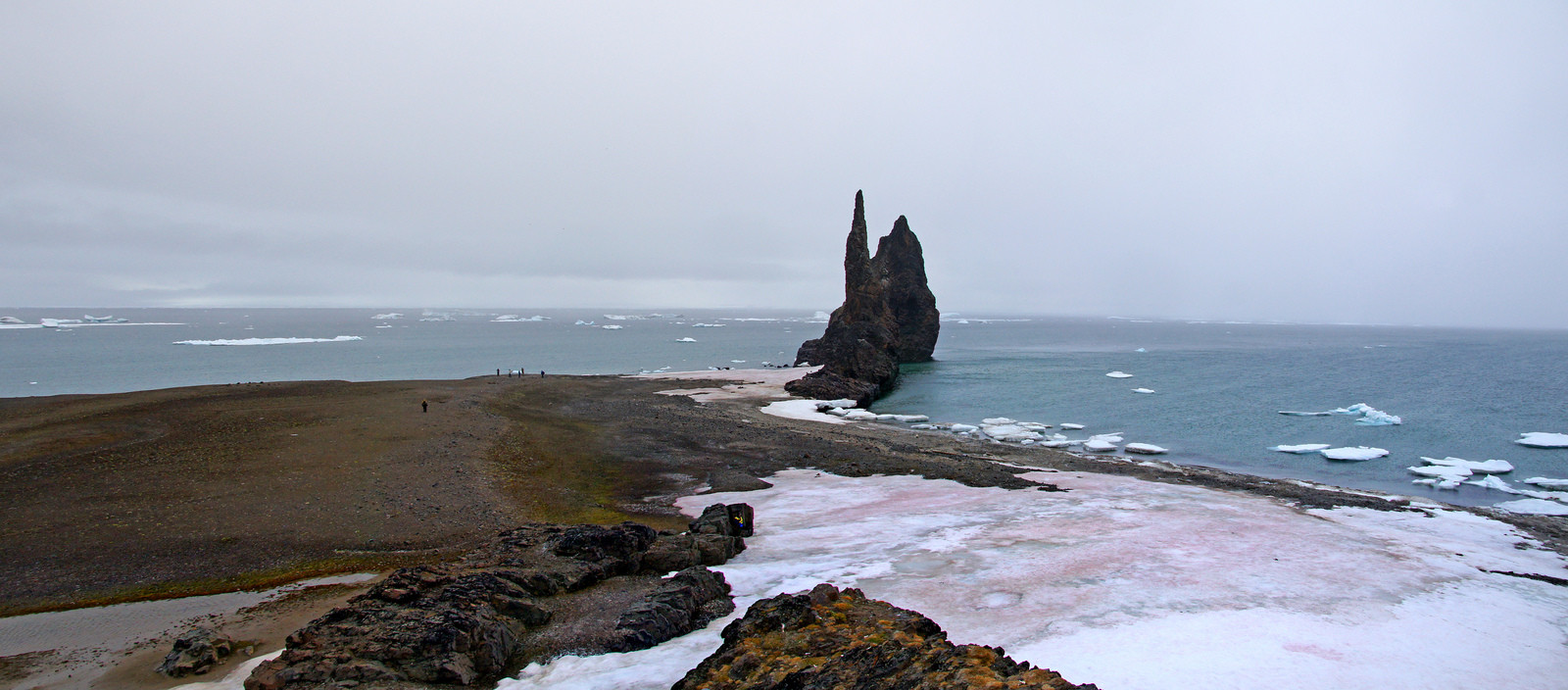 Галля — остров в архипелаге Земля Франца-Иосифа – фотографии России
