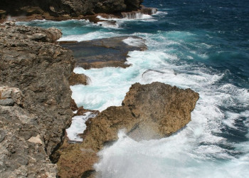 Animal Flower Cave, Barbados – фотографии Барбадоса
