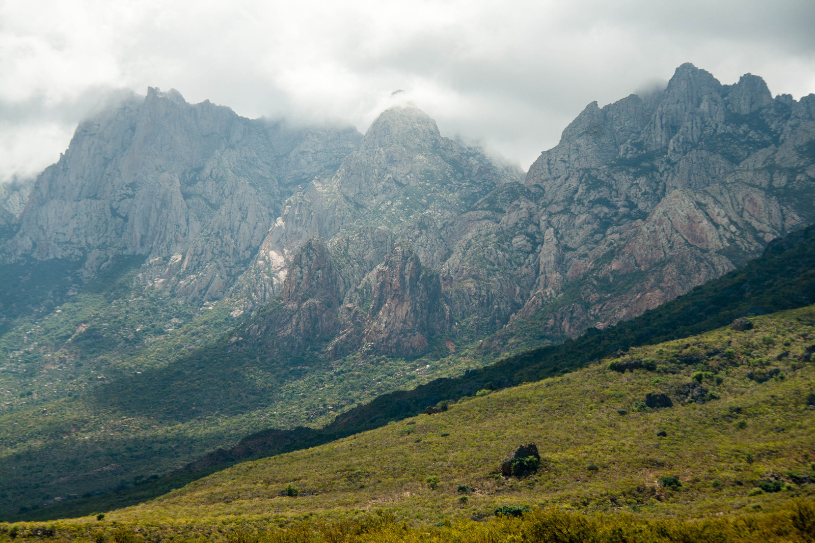 Остров Сокотра (Socotra), Йемен. Фото 10 – фотографии Йемена